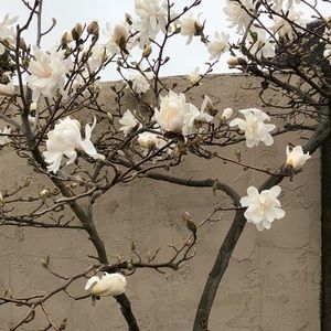 Meet your Posher, Cielo